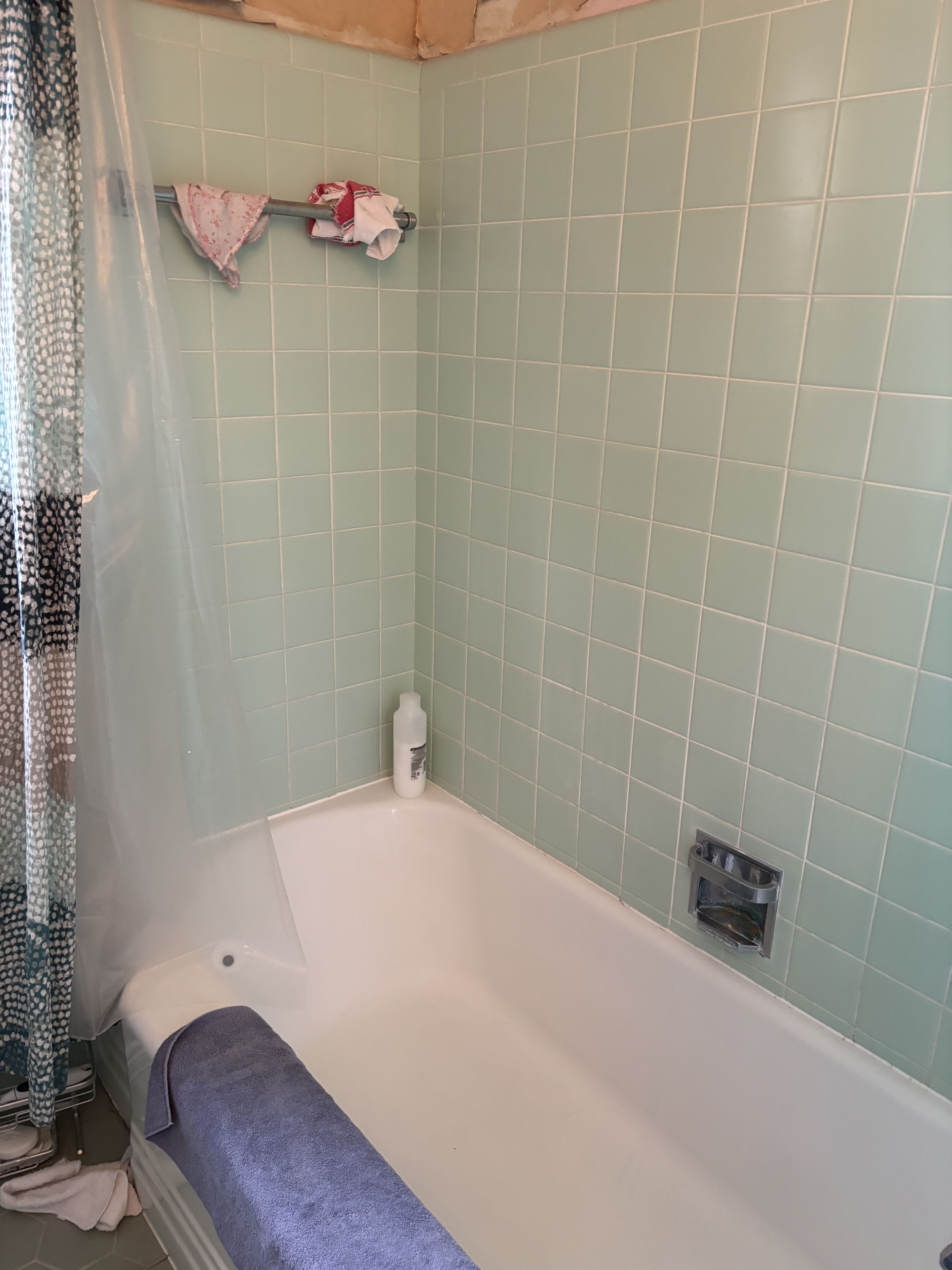 Green Bathroom before renovation